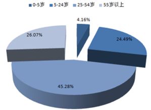 2017-2022年中國旅游電子商務(wù)市場運行態(tài)勢與投資策略分析報告 聚焦國內(nèi)旅游業(yè)務(wù)經(jīng)營
